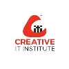 Creative IT Institute Creative IT Institute