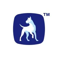 Boxer Auckland, New Zealand