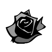 Black Rose Writing