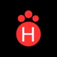 HieLite Academy