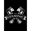 Team Gensonic Team Gensonic