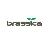 BRASSICA PHARMA PVT. LTD.