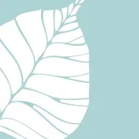 FICUS Landscape Architects