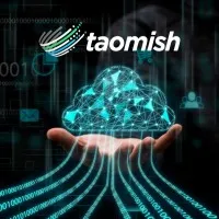 Taomish India Pvt. Ltd