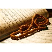 Article writing Article writing