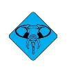 Twintusk LLC