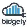 Bidgely