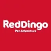 Red Dingo Red Dingo