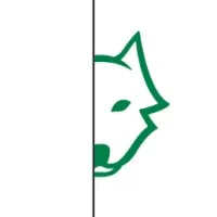 Scott Wolfe Chartered Professional Accountants Inc. Scott Wolfe Chartered Professional Accountants Inc.