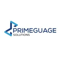 Primeguage Solutions Limited