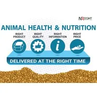 NRight Nutrition Pvt Ltd NRight Nutrition Pvt Ltd