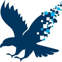 DAS Federal LLC - Digital Applied Solutions