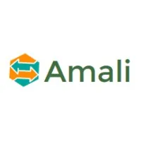 Amali Solutions Limited