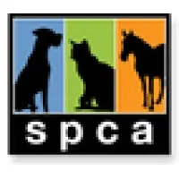 Medina County Spca