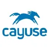 Cayuse Cayuse