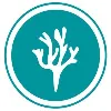 Australian Seaweed Institute Australian Seaweed Institute