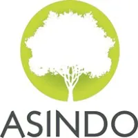 ASINDO LTD