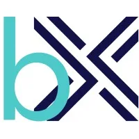 BX Partners BX Partners