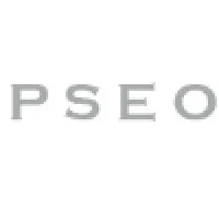 PSEO: Professional Search Engine Optimization