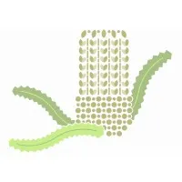 Davidson Design Studio Pty Ltd