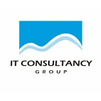 IT Consultancy Group Corp