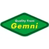 Gemni International Gemni International