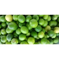AGRO PRODUCTS AGRO PRODUCTS