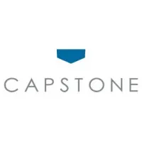 Capstone Partners Co., Ltd.