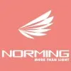 Norming Lighting Norming Lighting