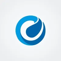 E-Commerce Association - Georgia