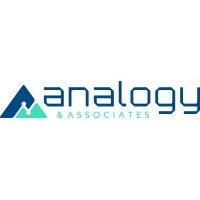 Analogy & Associates, LLC
