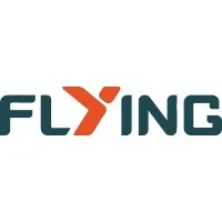FLYING LOGISTICS (HK) LIMITED FLYING LOGISTICS (HK) LIMITED
