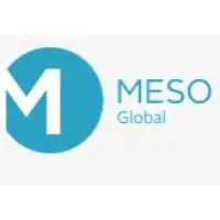 Meso Group