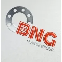 BNG Flange Group 
