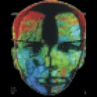 Thinking Minds, Inc.