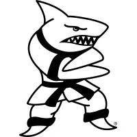 Action Karate Action Karate