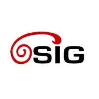 Shanghai Industries Group Shanghai Industries Group