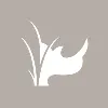 White Rhino