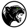 Panthera Group Panthera Group