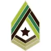 Askari Askari