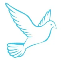 FLY Foundation FLY Foundation