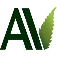 AV Social Strategies