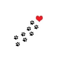 Mechanic Falls Veterinary Hospital