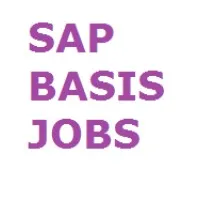 SAP BASIS JOBS