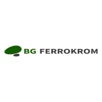 BG Ferrokrom