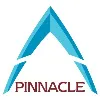 Pinnacle Consulting Group, Inc Pinnacle Consulting Group, Inc