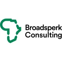 Broadsperk Consulting email format