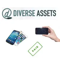 Diverse Assets, LLC