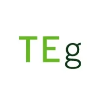 Taylor Environmental Group Inc