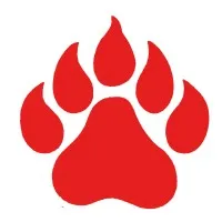 University School Of Jackson